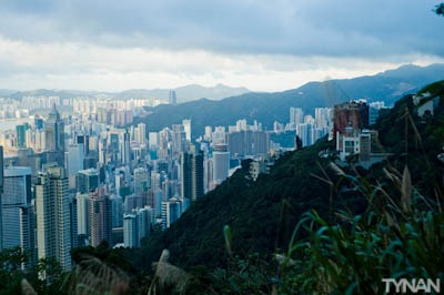 Entrepreneurs Don’t Want Jobs