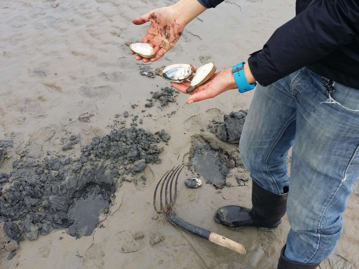 Island Adventure 2, Part 2: Almost Total Victory