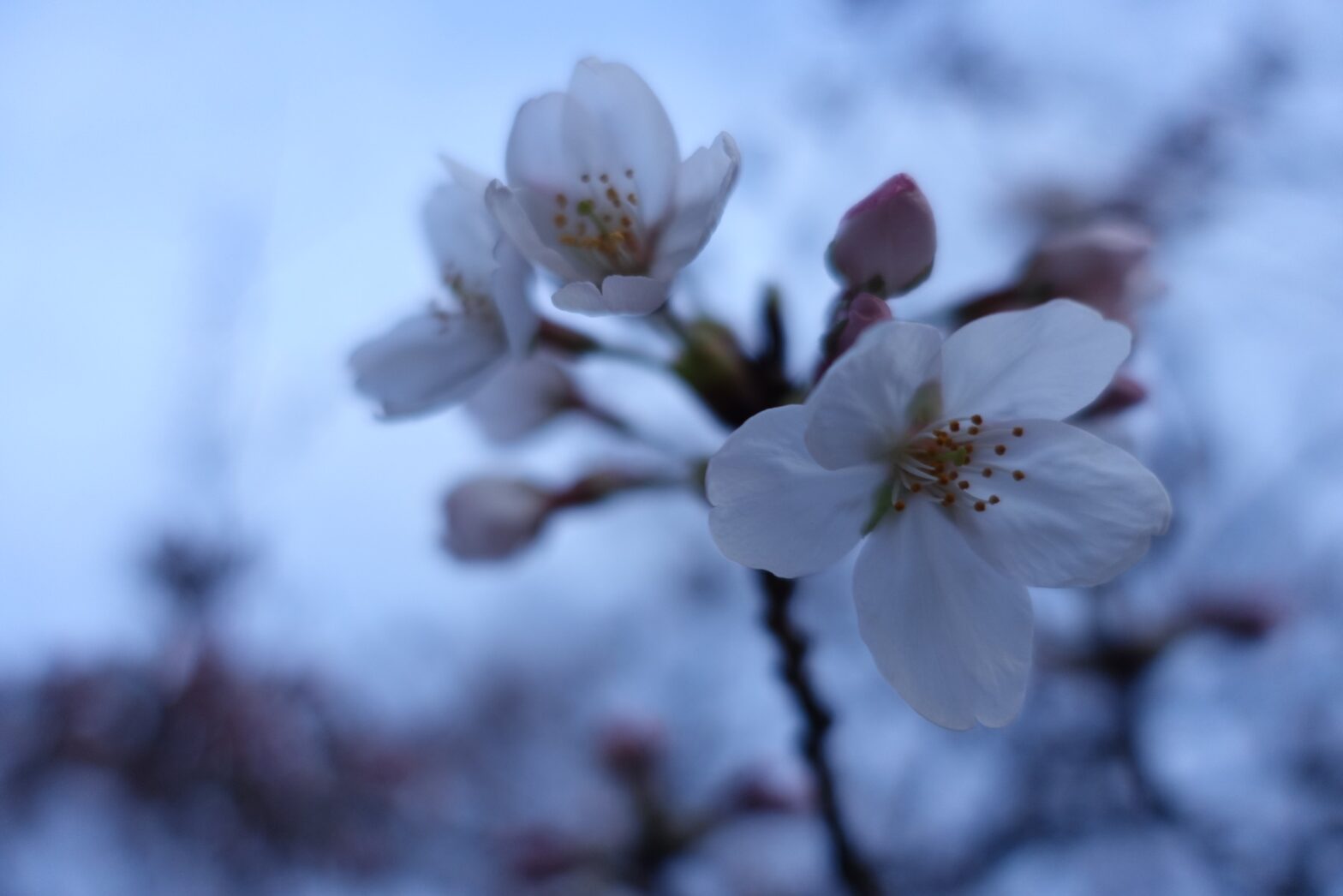 Joking Around With Strangers