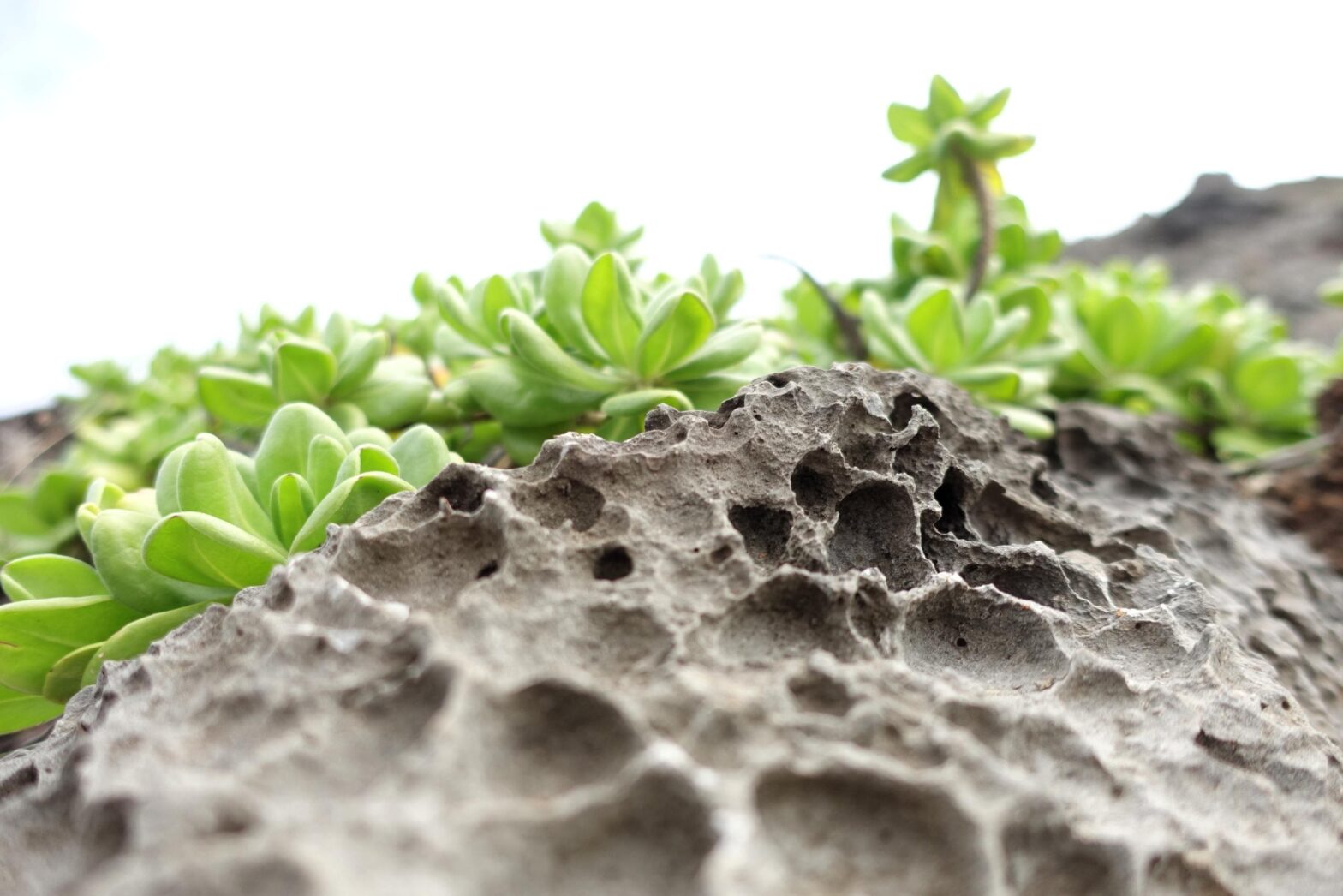 If You’re Going to Do It Anyway