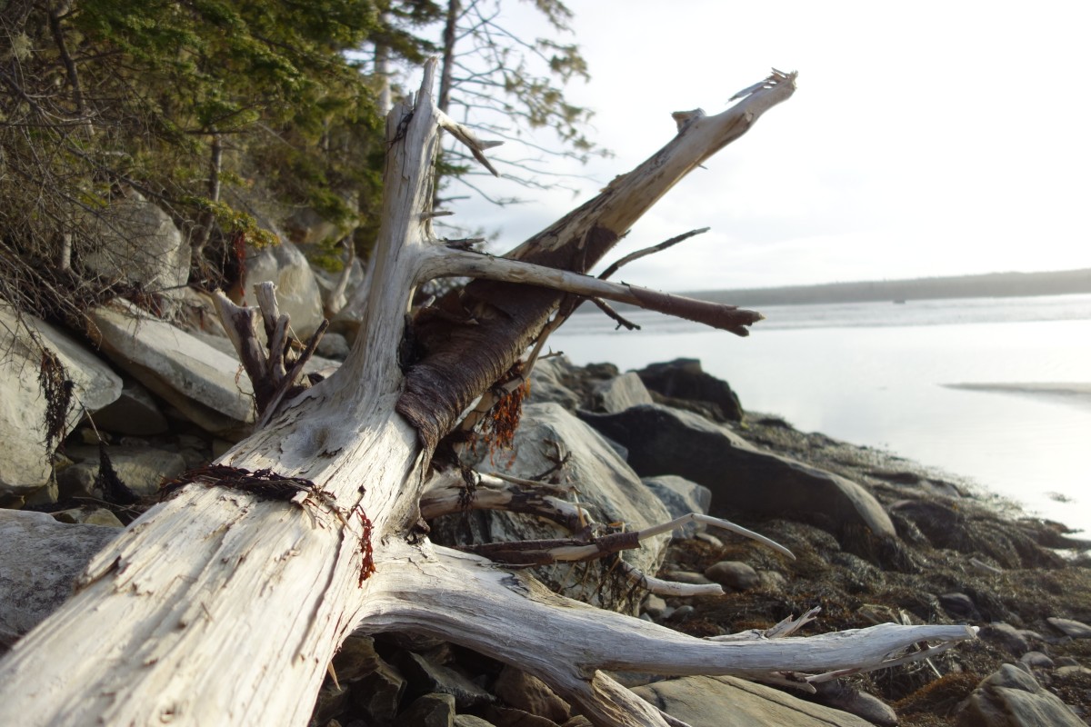 Just Sufficing Sucks