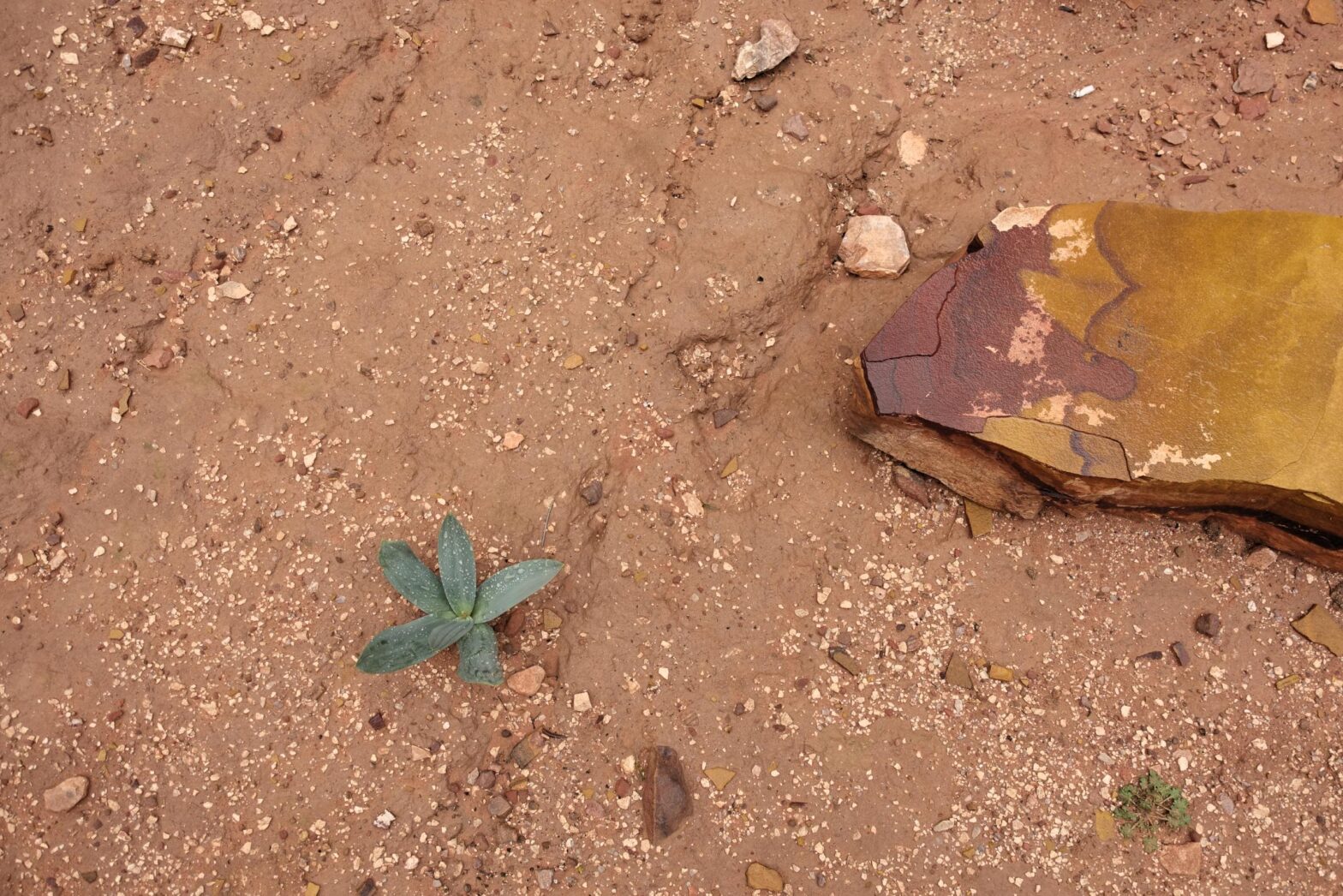 Managing Thought Patterns