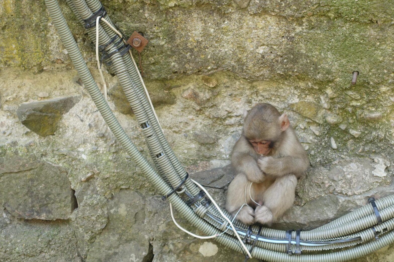 EV (How to Make All Decisions)