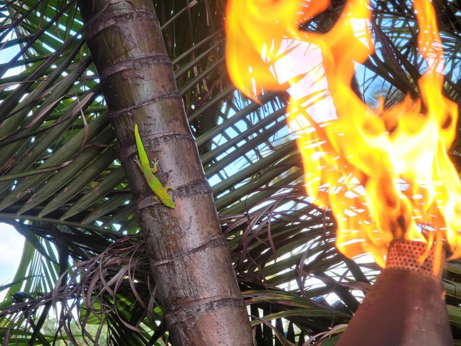 You Have More Options When You’re Weird